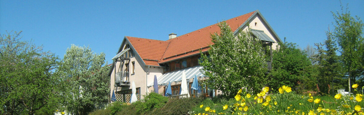 Hirsch im Grünen
