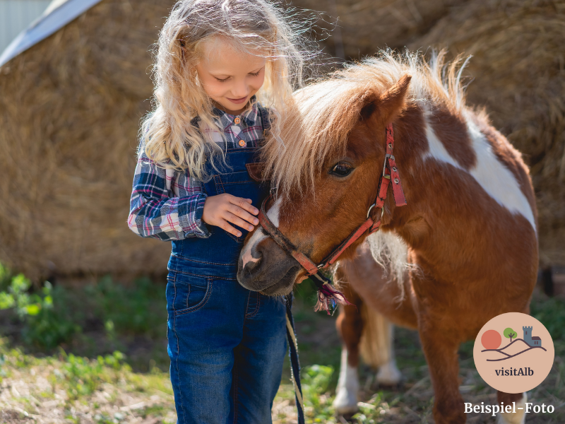 Ponyhof Märchenpark in Machtolsheim