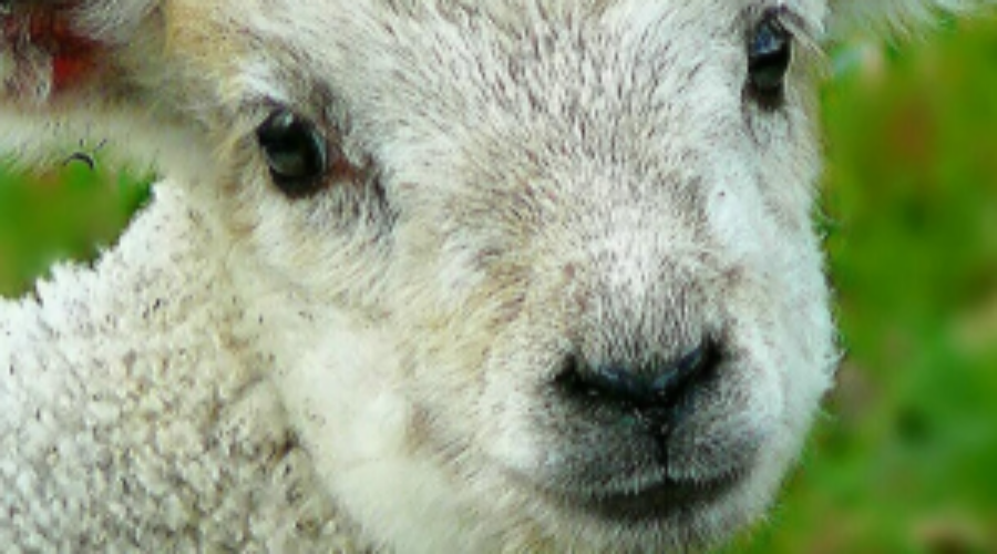 Biosphärengebiet Schwäbische Alb